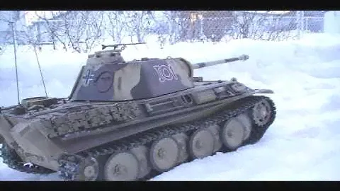 Panther