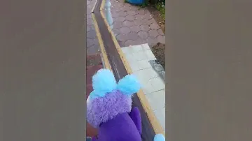 мопс гусеница