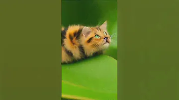 Гусеницы не так просты | Самые бесполезные факты за 5 секунд