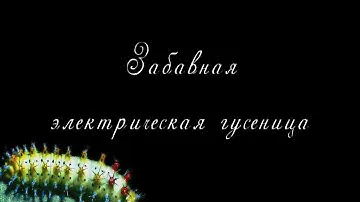 Забавная электрическая гусеница. Игрушка для детей