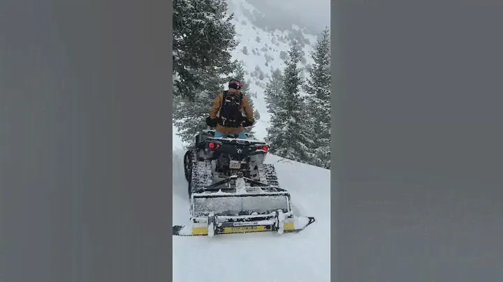 ATV with SNOW TRACKS CAMSO X4S