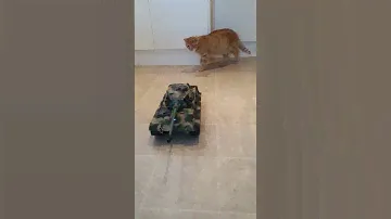 KING TIGER TANK WITH BLUEY