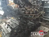 Комплект гусениц ТДТ-55, Полуцепь гусеничная ТДТ-55, Гусеница трелевочника ТДТ-55А, Звено гусеницы ТДТ-55.